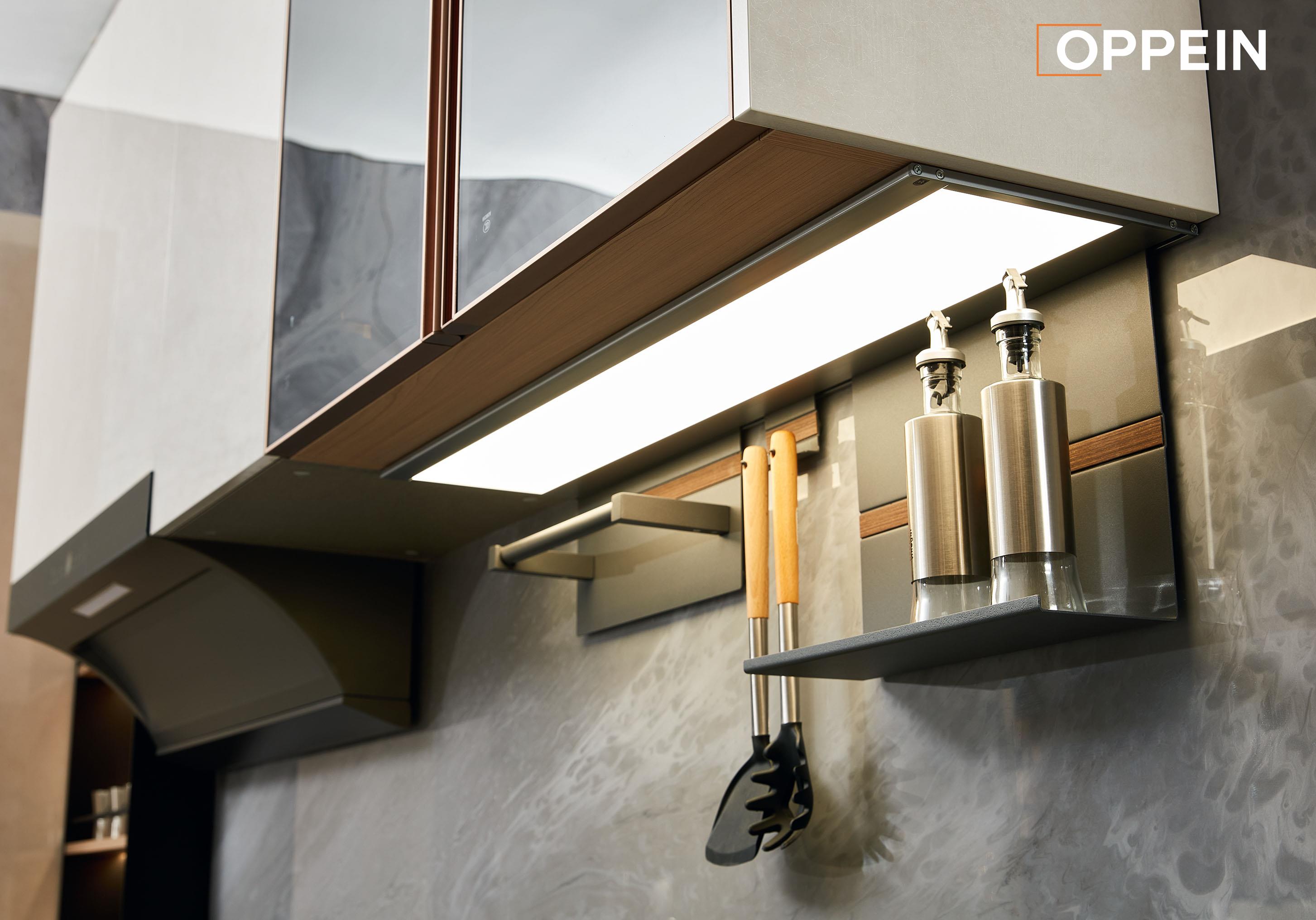 Luxury Frameless Flat Panel Kitchen Cabinet - SONG FOR YOU by OPPEIN Kenya