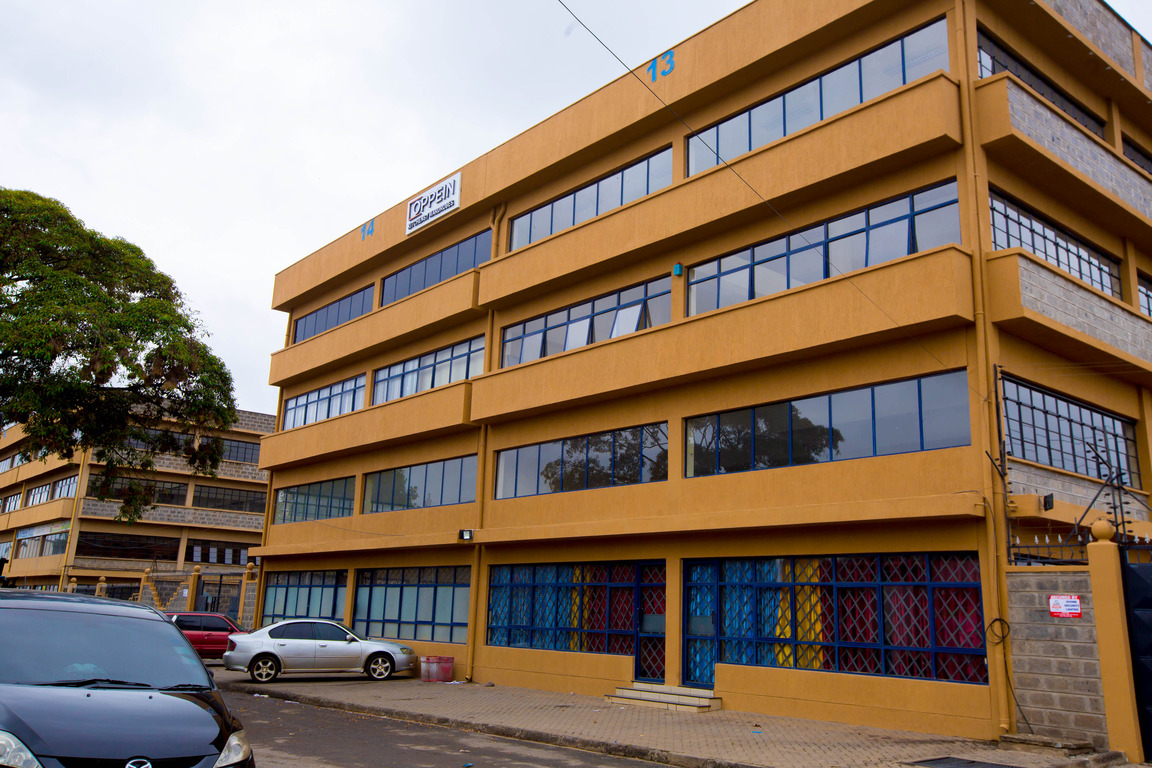 Who We Are at OPPEIN Kenya